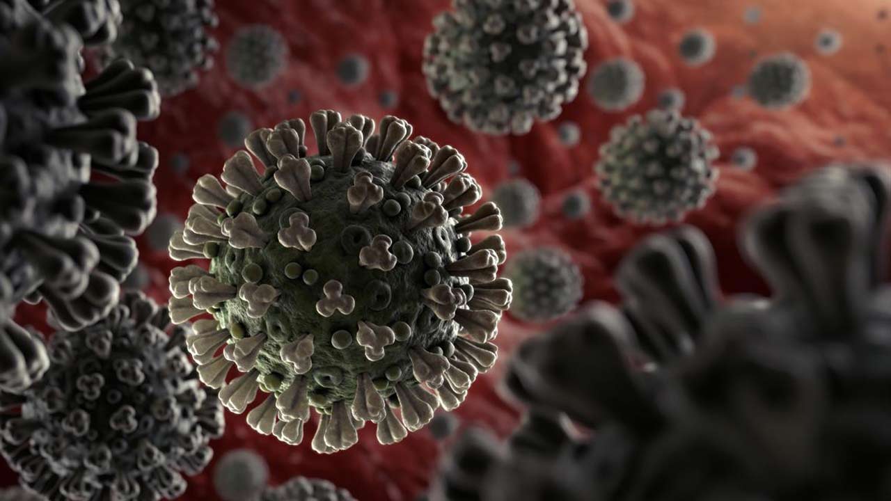 corona-virus