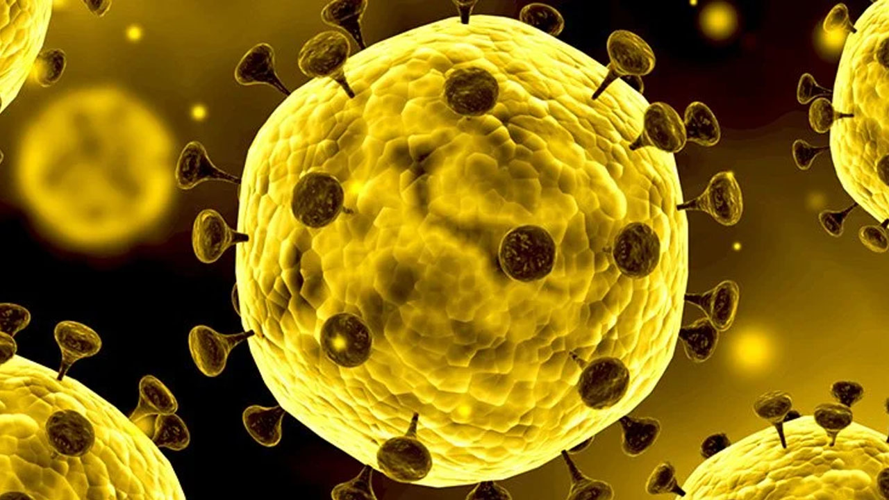 coronavirus