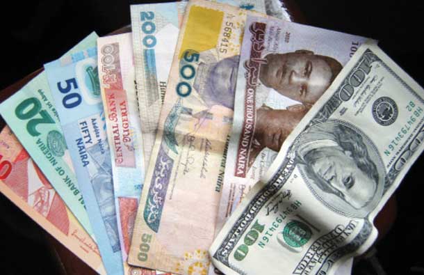 naira-notes22