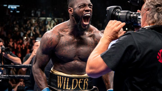 wilder