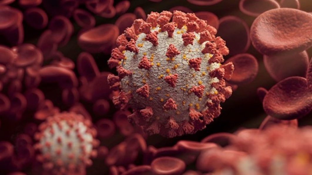 Coronavirus