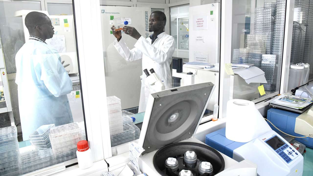 Nigerian-scientists