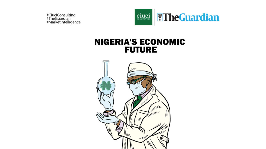 Nigeria’s economic future website asset
