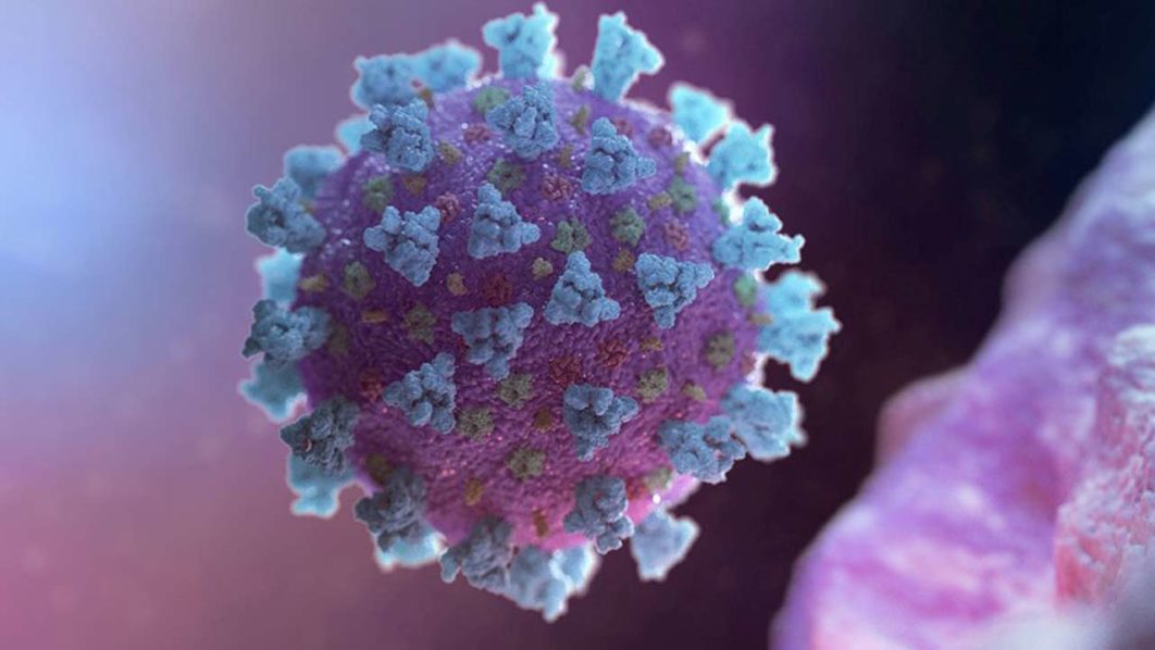 coronavirus