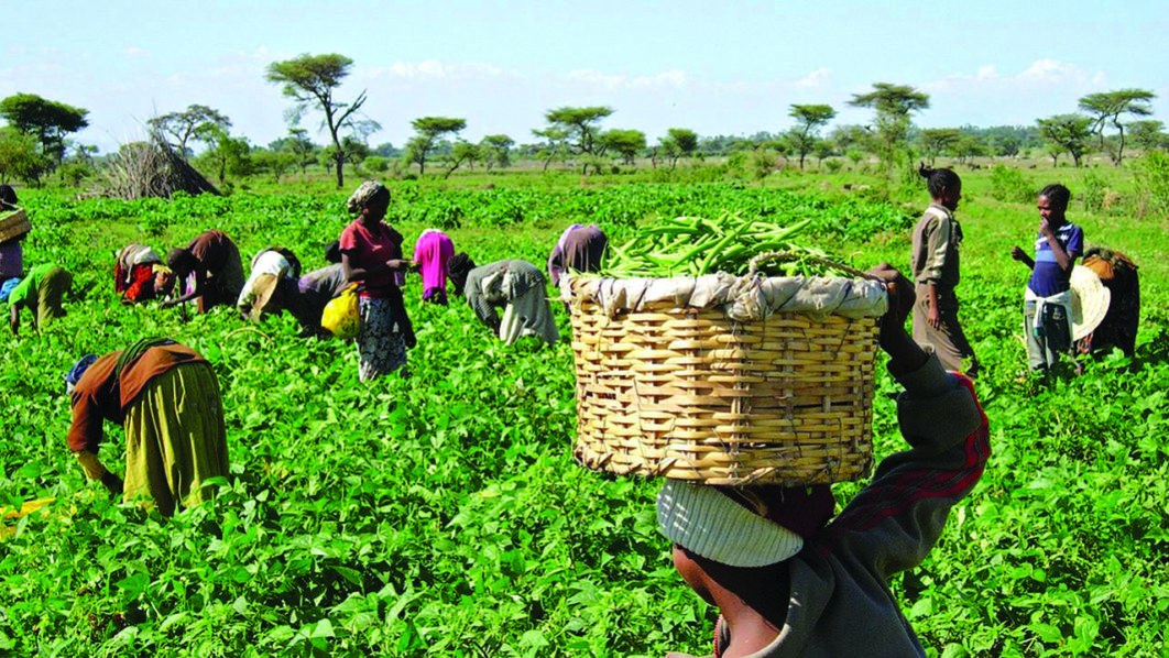 farmers