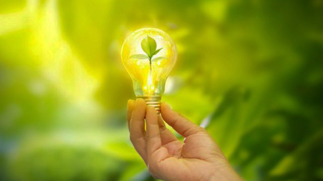 sustainability