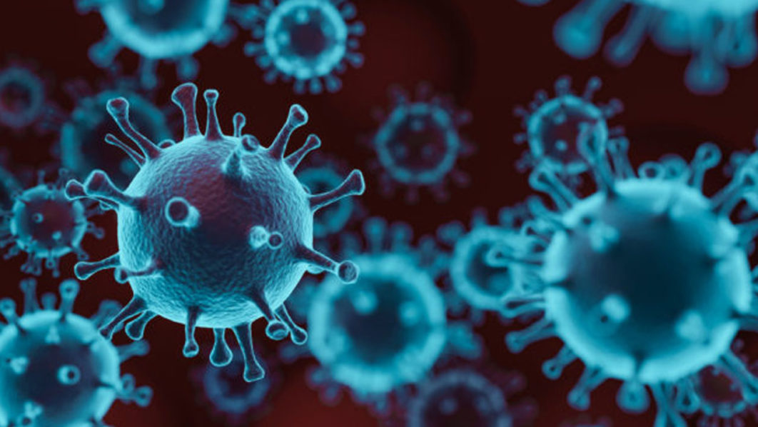 Coronavirus