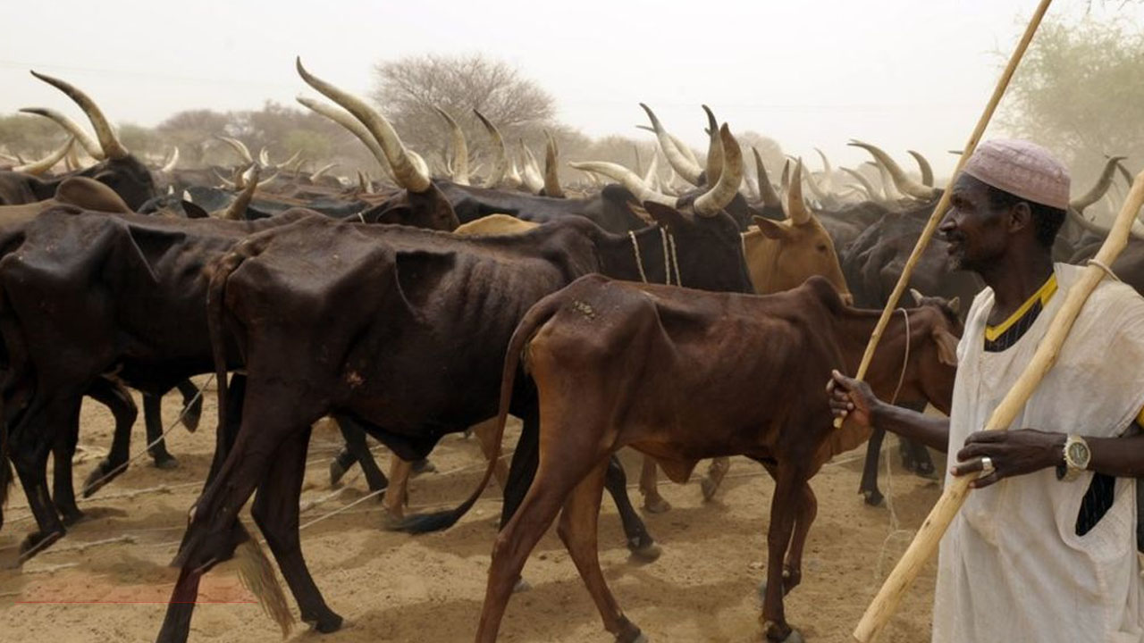 Fulani herdsmen