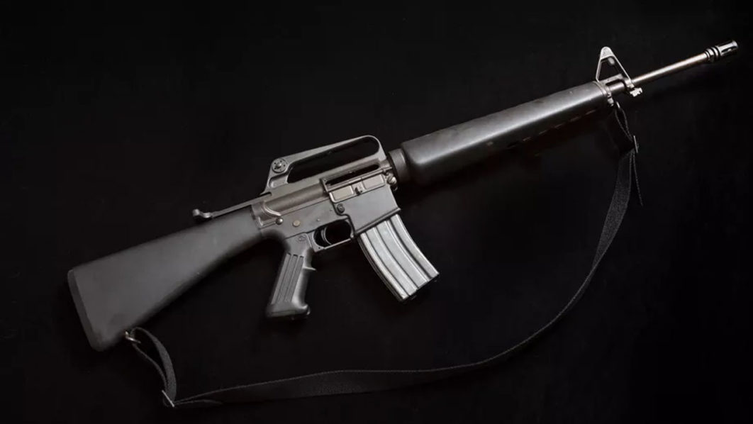 Gun