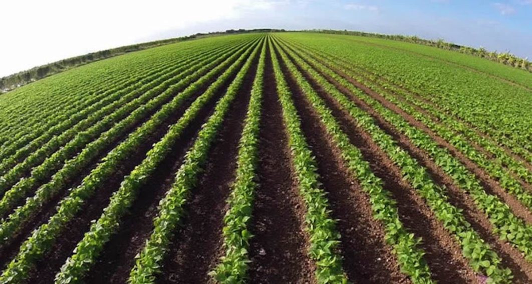 agric