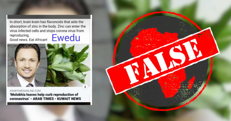 ewedu_false-768×402