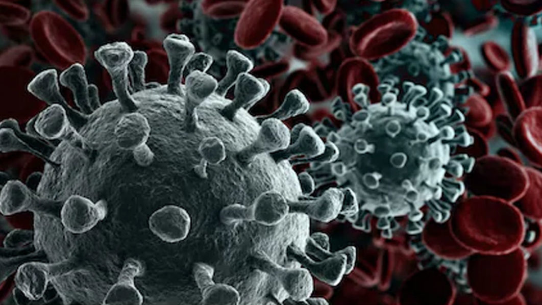 Coronavirus
