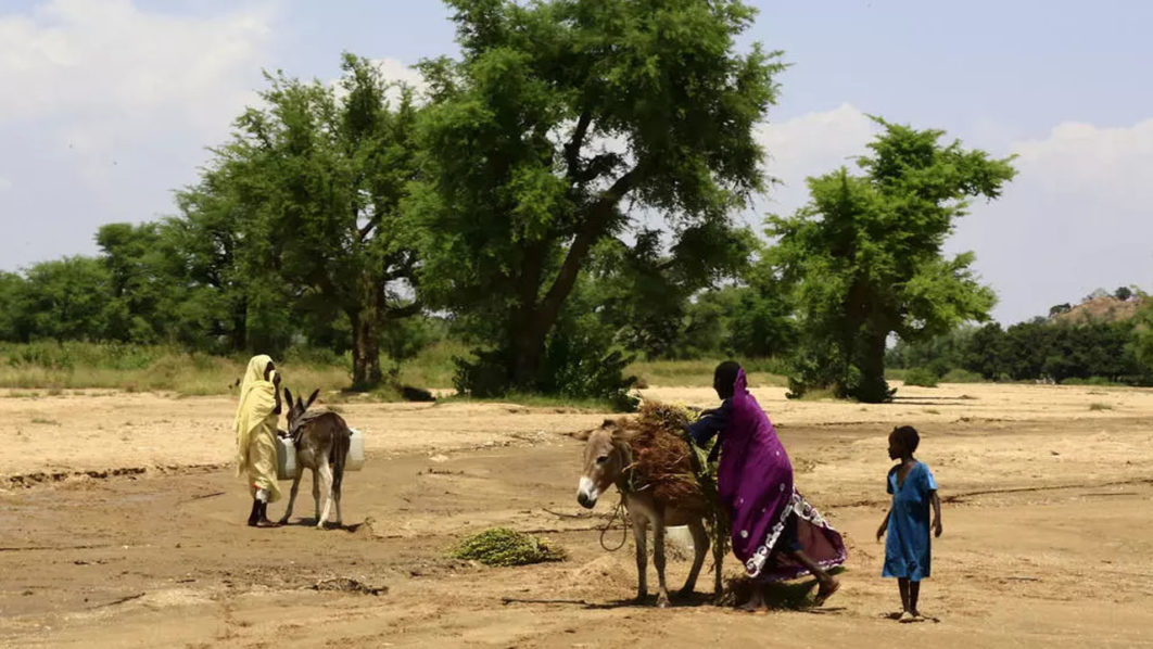 Darfur