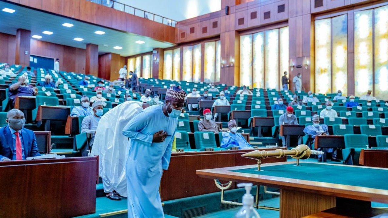 Federal-House-of-Representatives-1