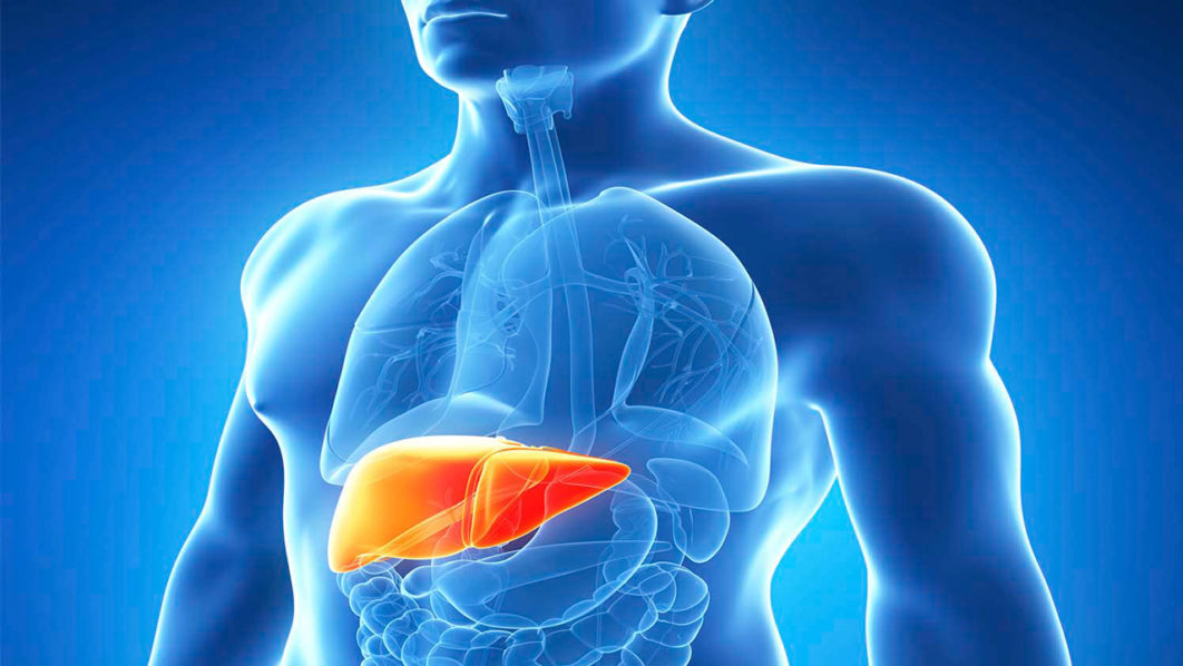 Hepatitis-2