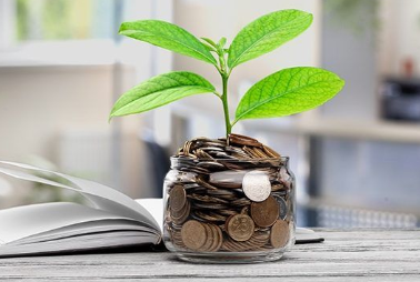 Investing your money makes it grow