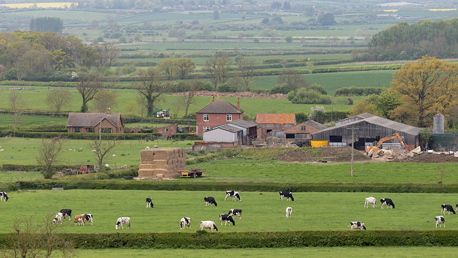 farm estate