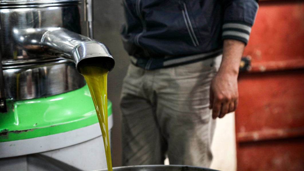 IRAQ-SYRIA-AGRICULTURE-KURDS