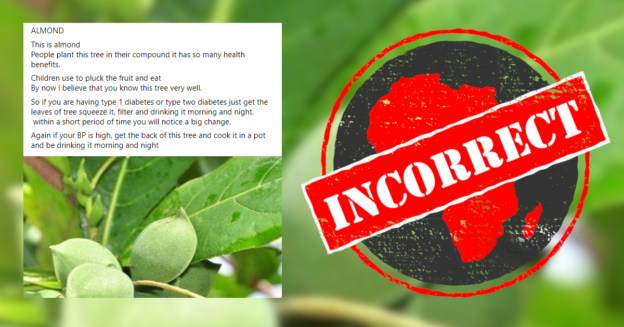 Almond Africa Check