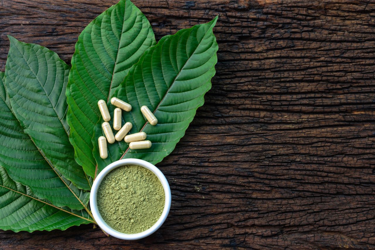 Mitragyna speciosa or kratom leaves with medicinal products in capsules and powder in white ceramic bowl and wooden table, top view
