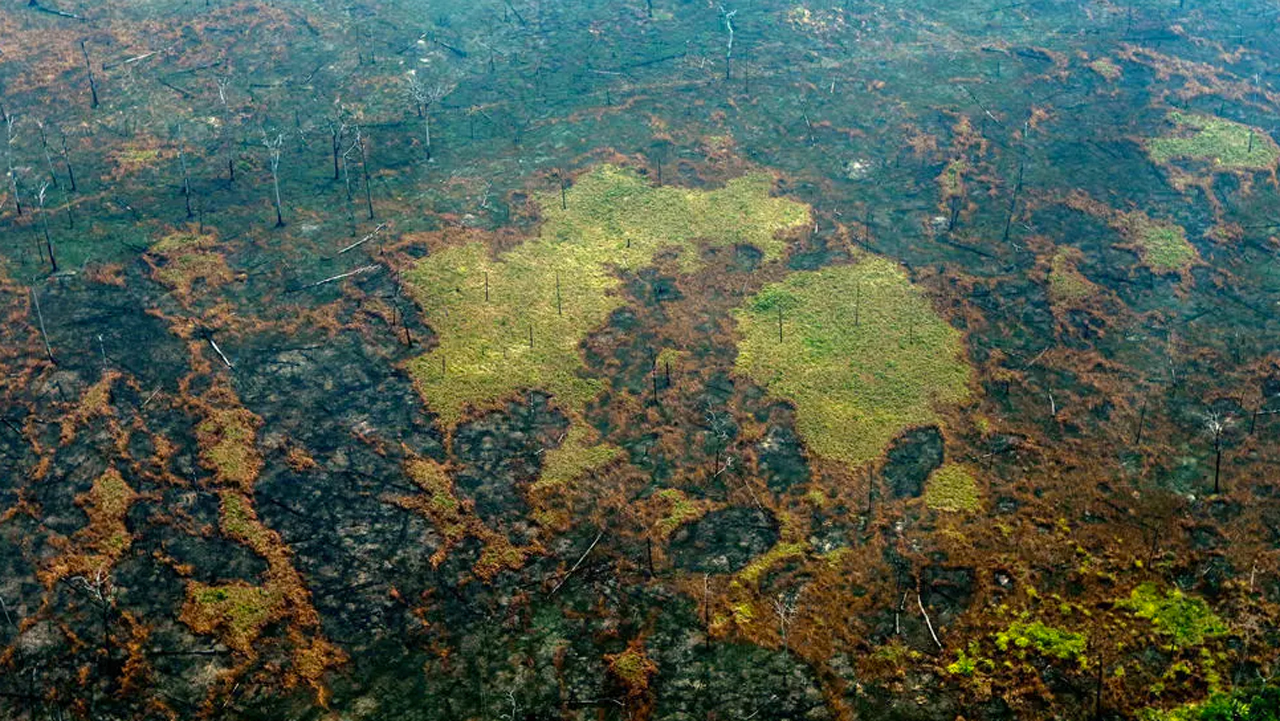 wildfires