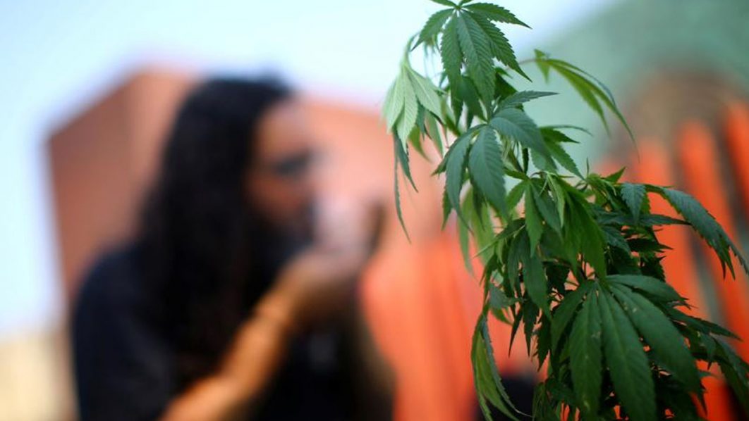 cannabis