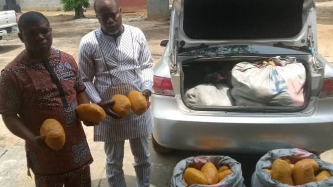 NDLEA