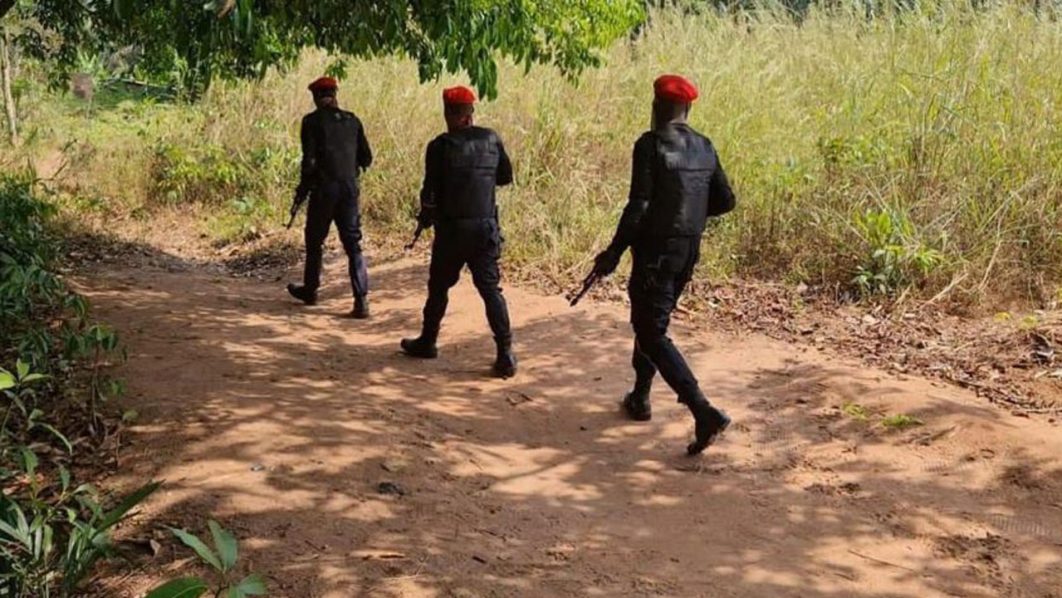 ipob3-1024×478