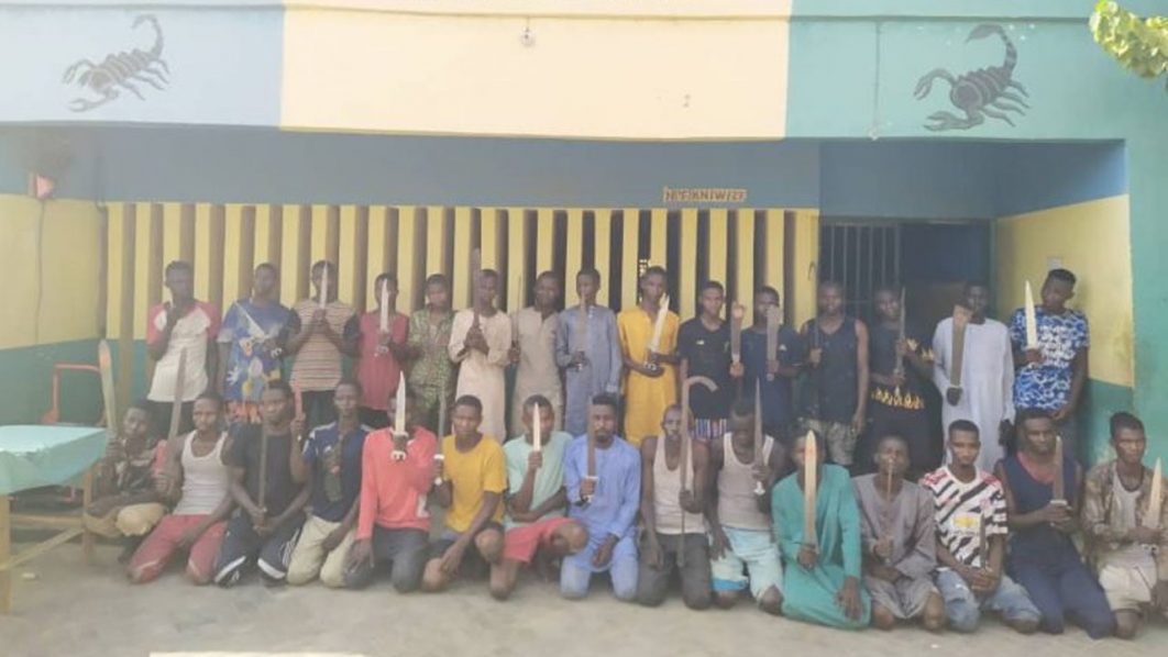 297 suspected criminals