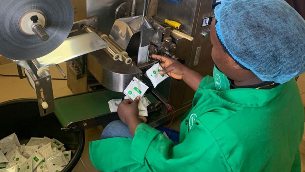 A-moringa-tea-factory