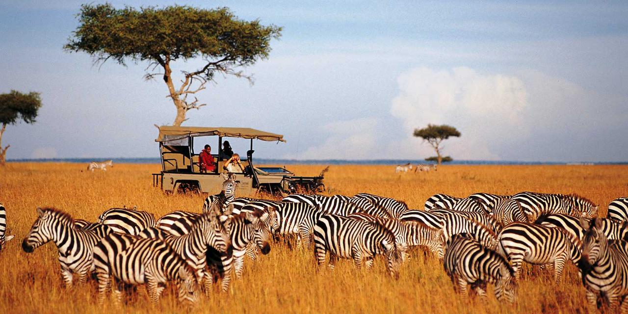 Bush Safari in Kenya. Photo Muraa African Studies