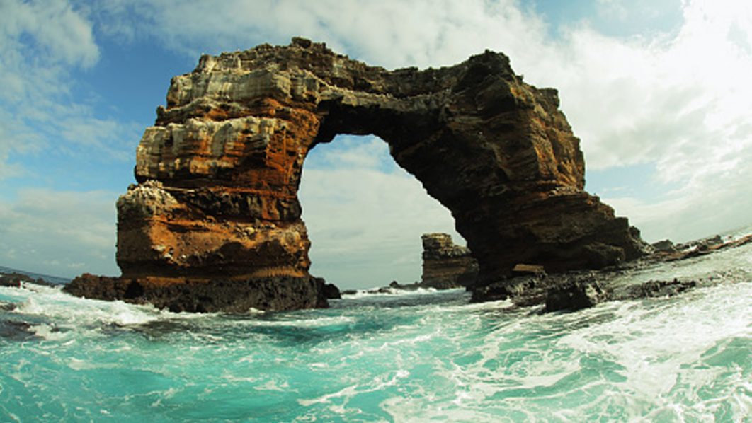 Darwin’s arch