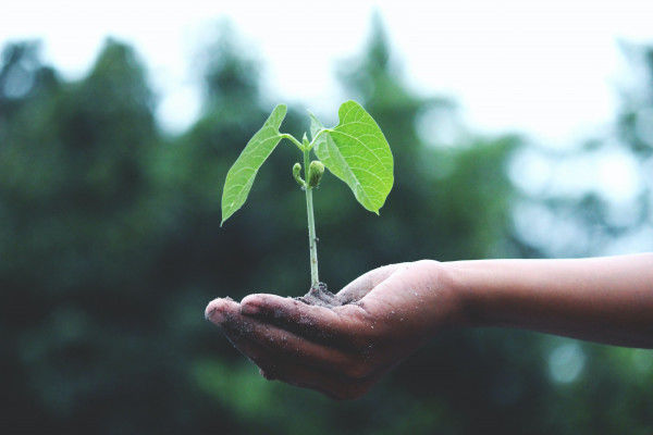 Telecel Group ASIP Accelerator powered by Startupbootcamp AfriTech selects Top 10 startups for 2021 Cohort