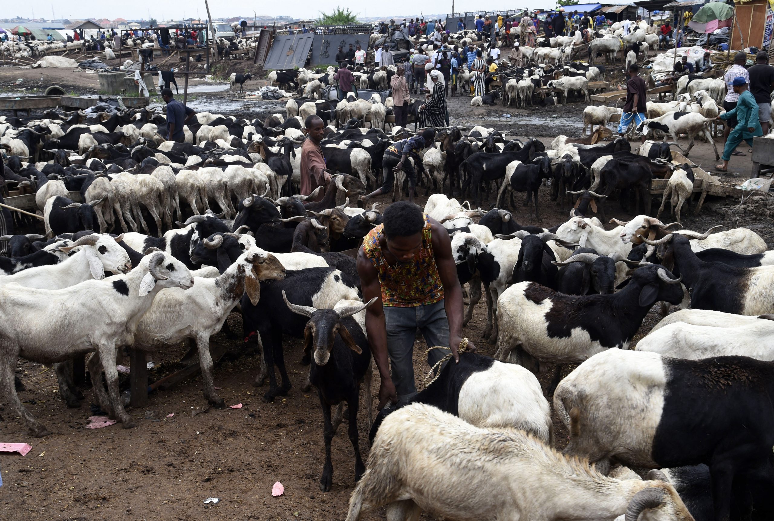 NIGERIA-RELIGION-ISLAM-FESTIVAL