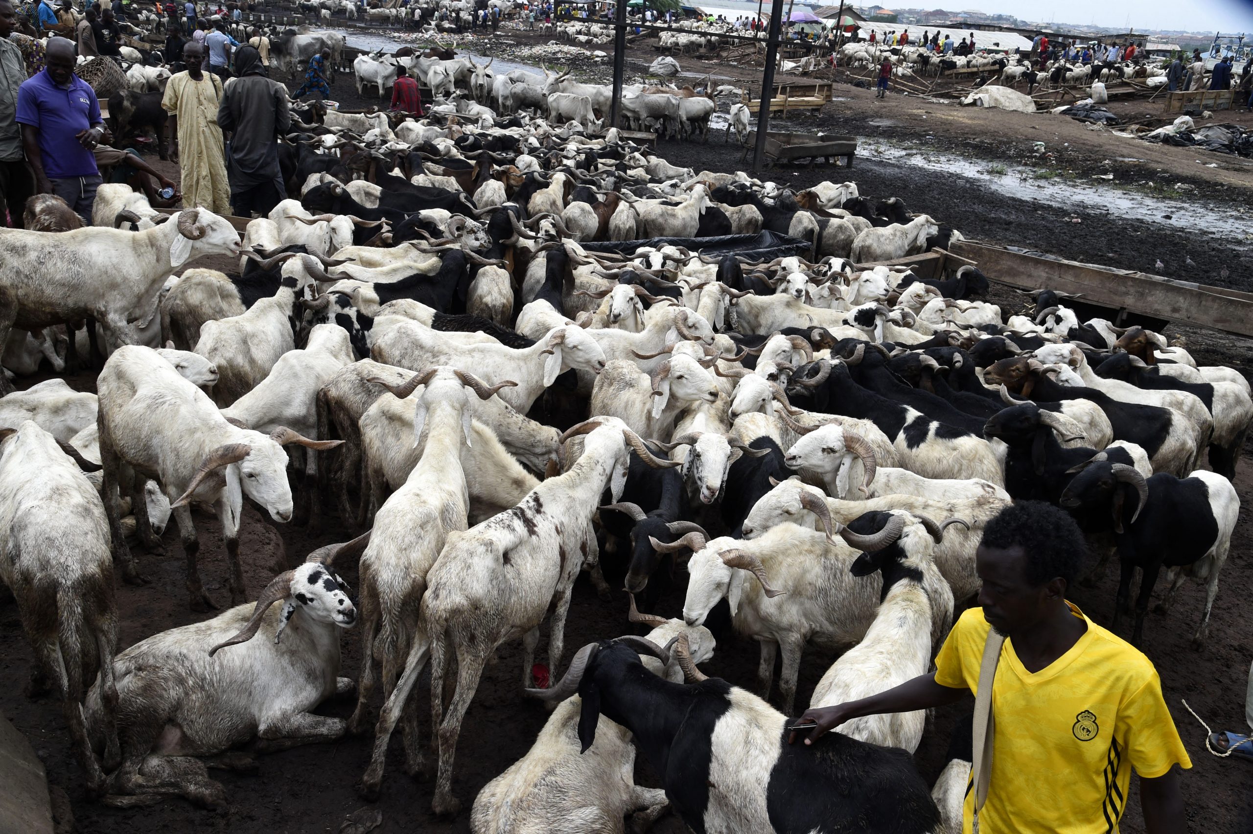 NIGERIA-RELIGION-ISLAM-FESTIVAL