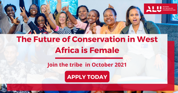 From MBA programs to accelerated learning, ALU Conservation Programs are set to build the next generation of Africa’s Conservation Leaders
