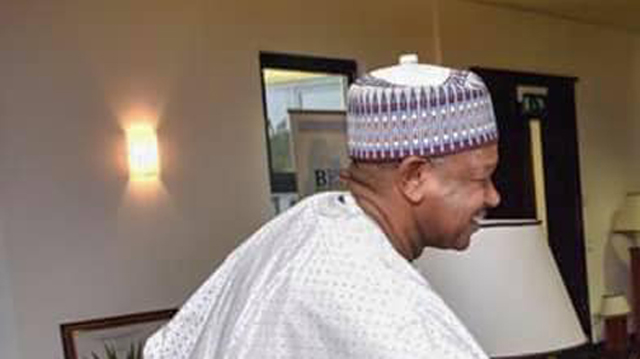 Bagudu
