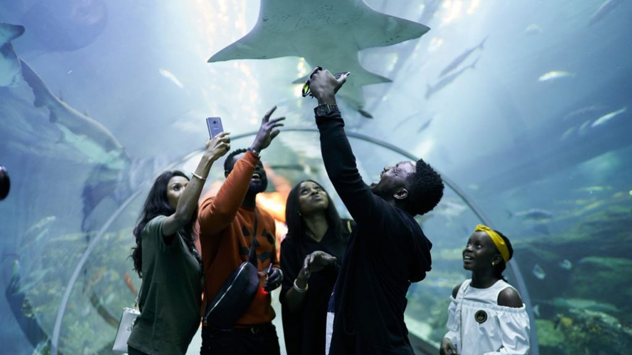 Dubai’s-education-tourism