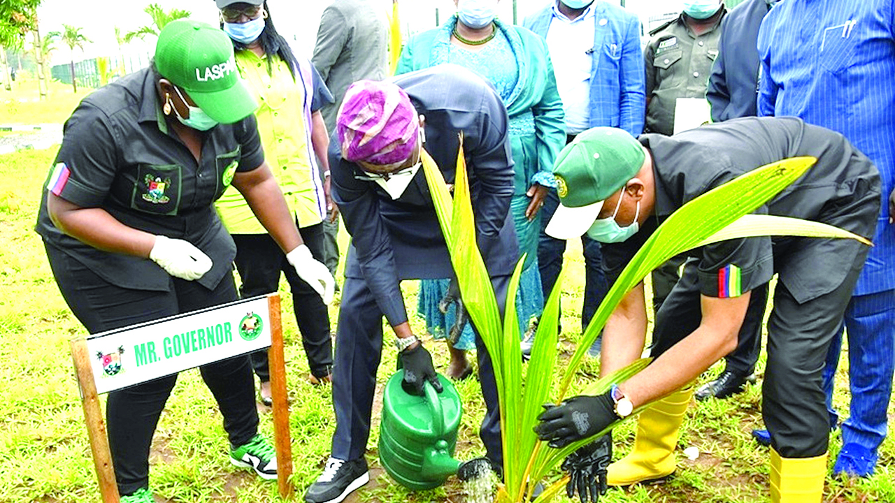 TREE PLANTING