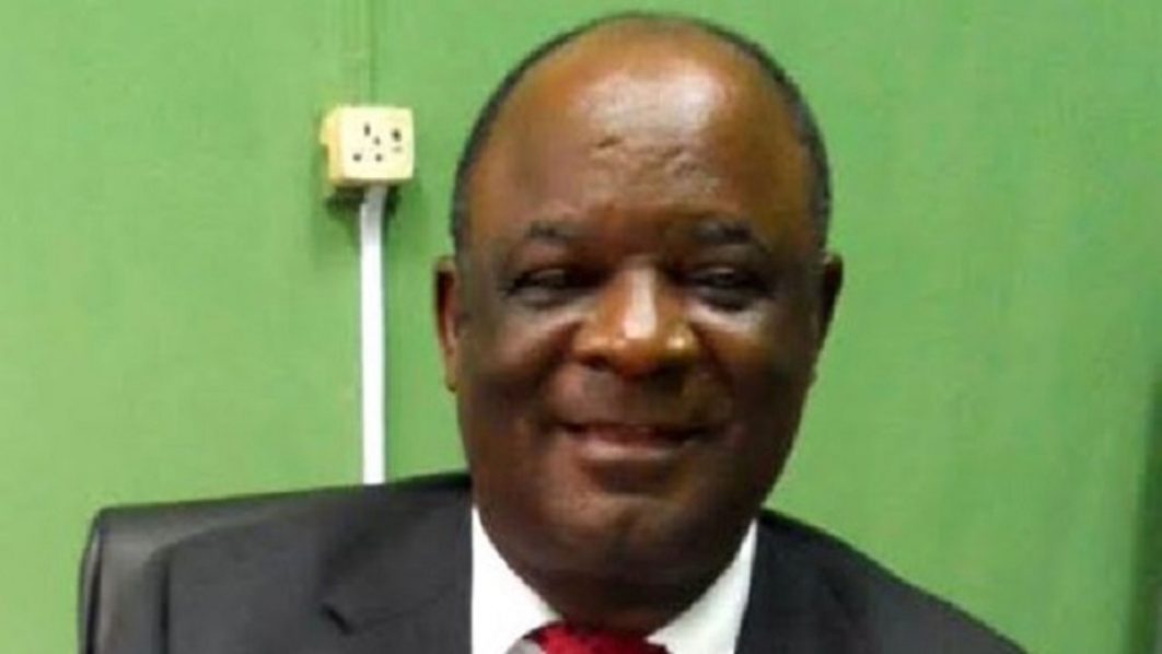 _University-of-Ibadan,-David-Olaleye