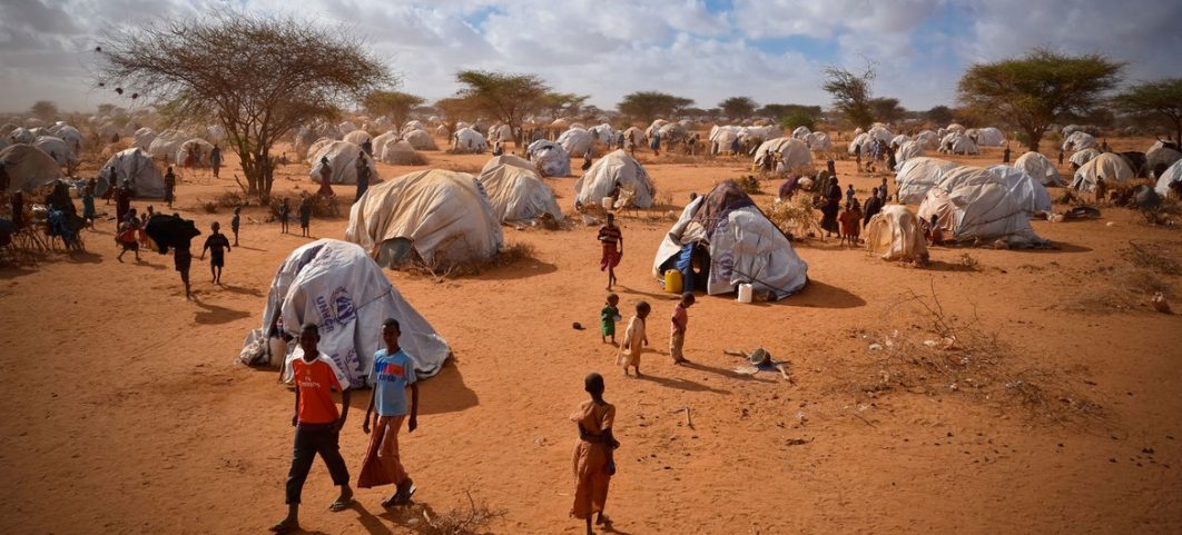 First Person: The Somali refugees planting a new life in the United States