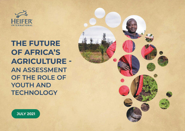 New 11-Country Report Reveals African Farmers Missing out on AgriTech Innovations that Could Supercharge the Sector with Opportunities for Youth