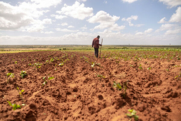 Madagascar: “We have nothing to eat because of the drought”