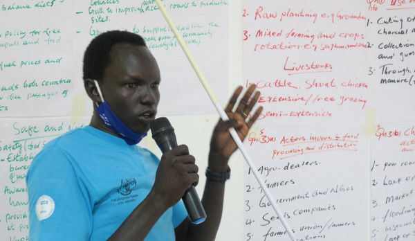 Diseases and pests main challenges to food security in Northern Bahr-el-Ghazal State
