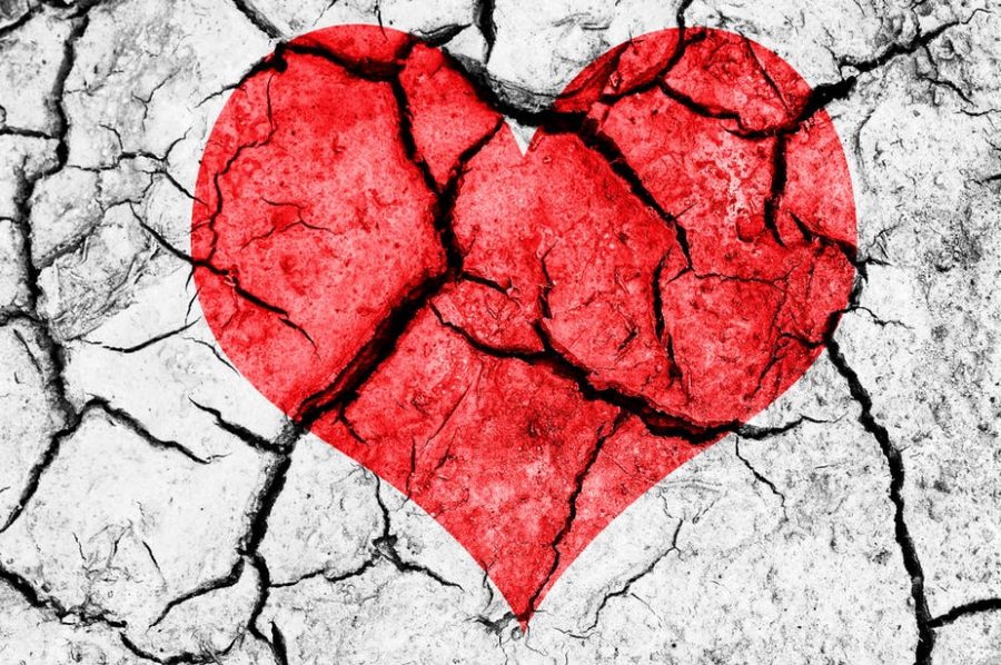Broken heart. Photo Shutterstock