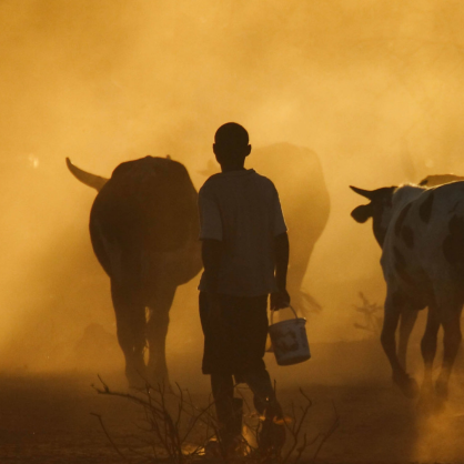Partnership for data-driven early response to hunger launched