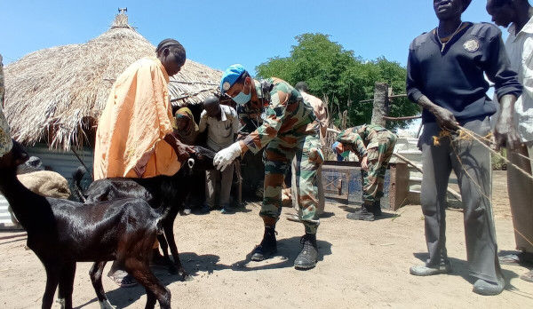Free veterinary camp by UNMISS peacekeepers from India wins hearts and minds in Renk