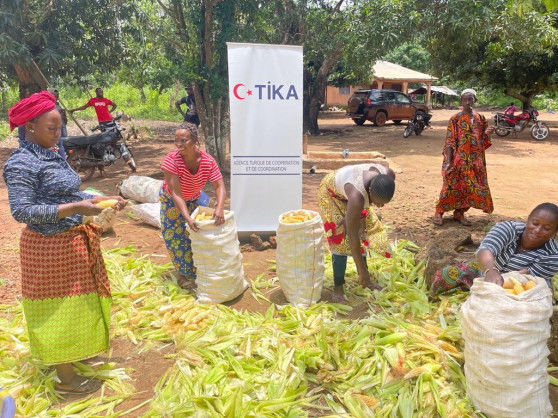 Turkish Cooperation and Coordination Agency (T?KA) Supported Guinean Farmers