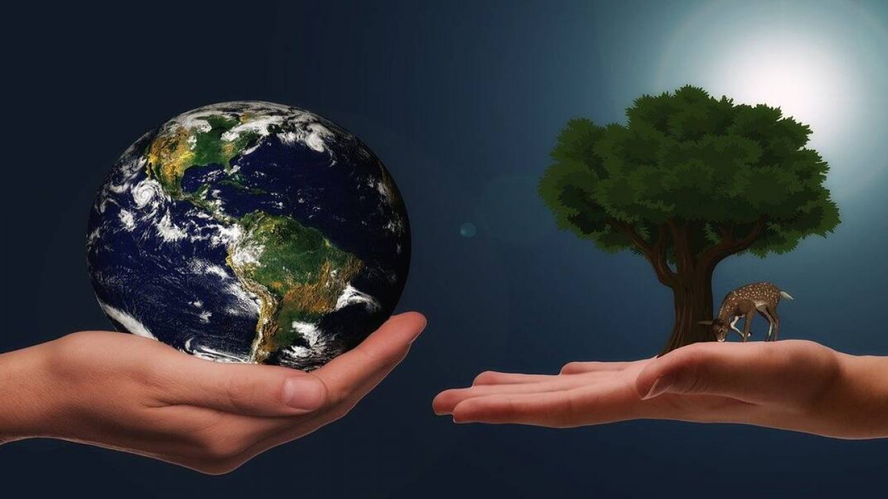 world-habitat-day-1280×720