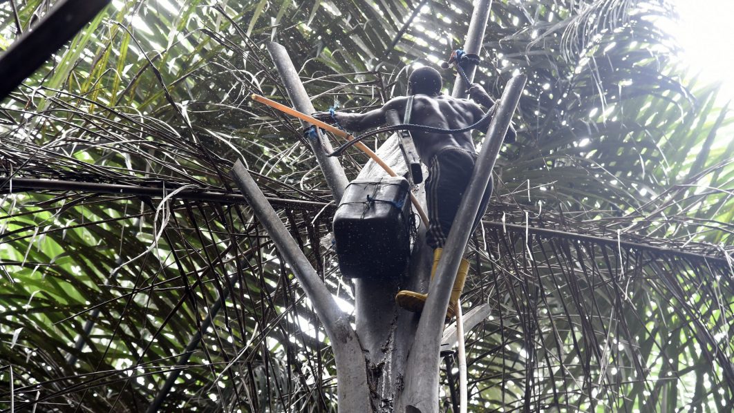 NIGERIA-ECONOMY-PALM WINE